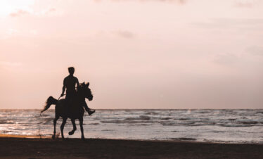 Horse Riding